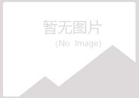 敖汉旗山柳冶炼有限公司